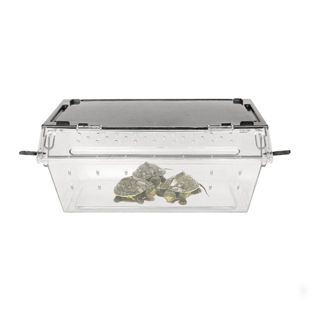 Di plastica Rettile Serpente ragno Lucertola Scorpione Millepiedi Cornuto Rana geco scarafaggio Insetto Allevamento Scatola Pendenza non-scontrino design: Default Title