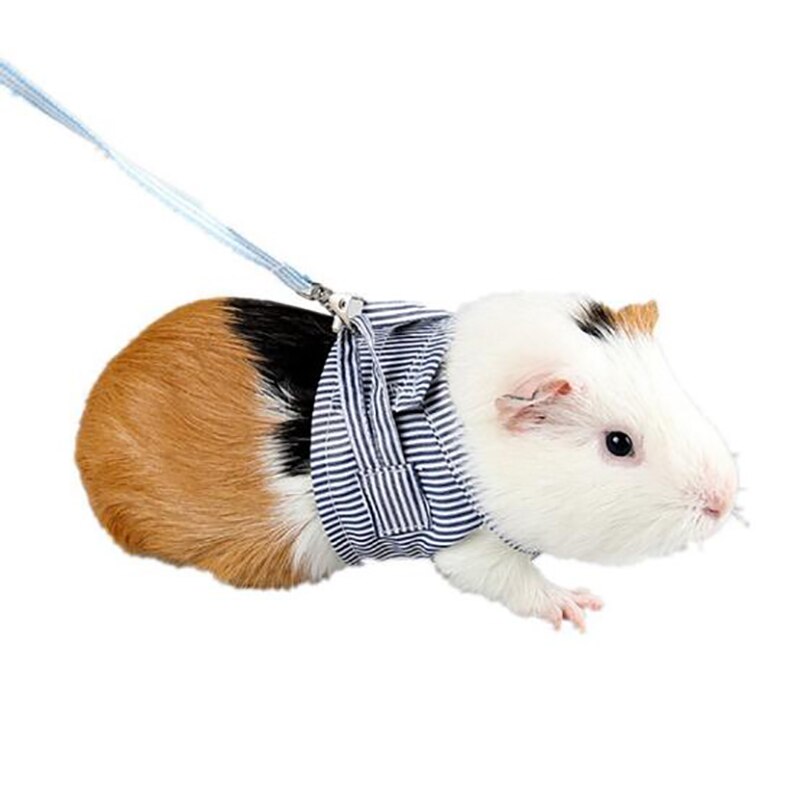 Sangle de poitrine d&#39;extérieur pour petit animal de compagnie, corde de Traction, vêtements en laisse pour Chinchilla, cochon d&#39;inde néerlandais