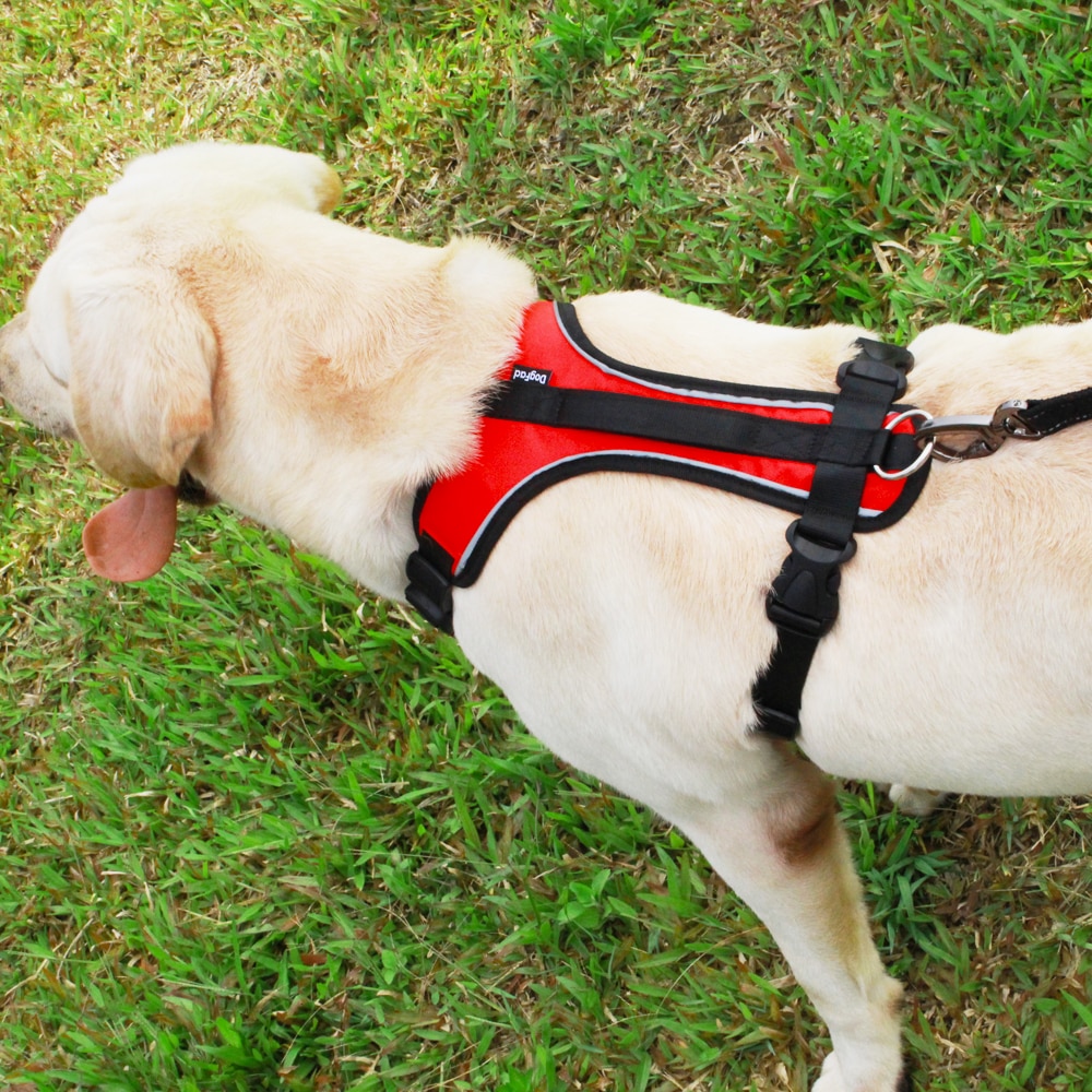 Hundesele mykt polstret hund Vest sele ingen trekk reflekterende hundestropp enkelt kontrollhåndtak til middels og stor hundetur