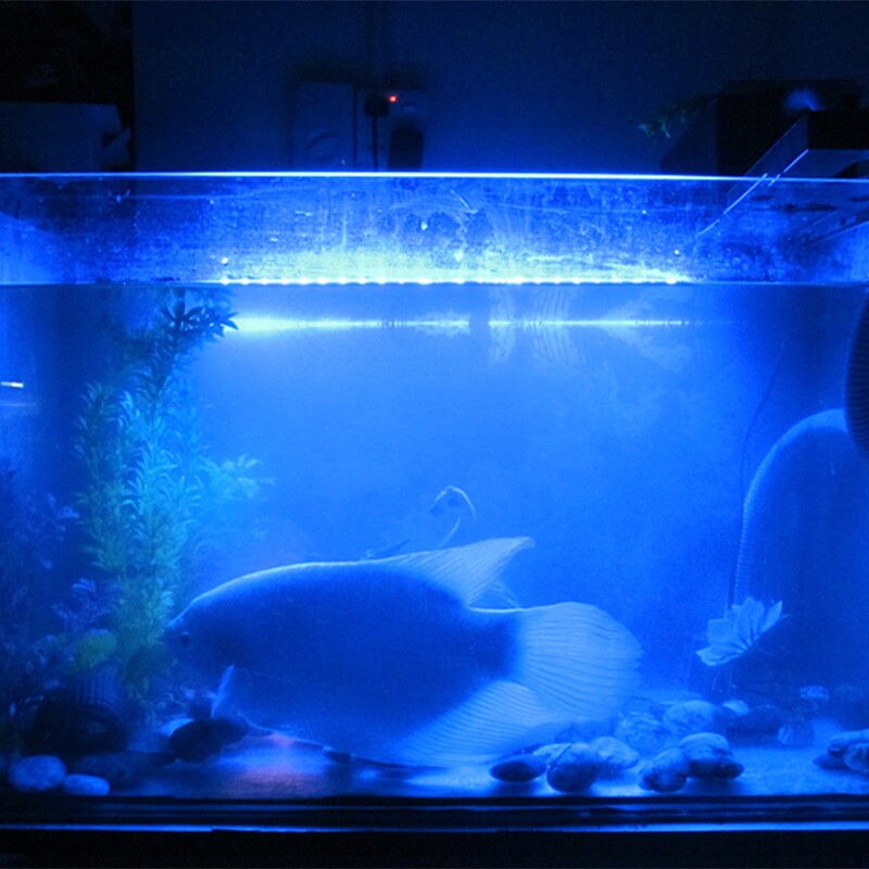 Akvariefisk akvarium vandtæt 5050 smd 19cm 6 led lys bar lampe nedsænket strip belysning 1.5w dam springvand dekor -4 farver: Blå