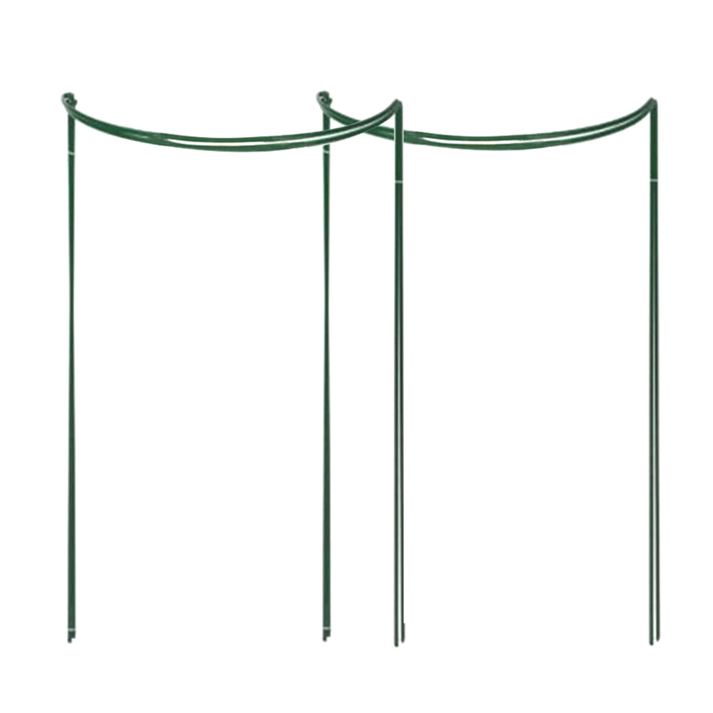 Piquets de Support pour plantes florales, cadre métallique Semi-circulaire pour jardin, 2 pièces, à domicile
