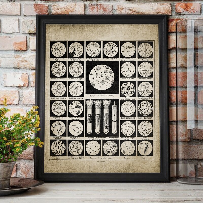 Bacteriën Prints Microben Poster Bacteriën Biologie Science Student Science Laboratorium Decor Poster Kraftpapier