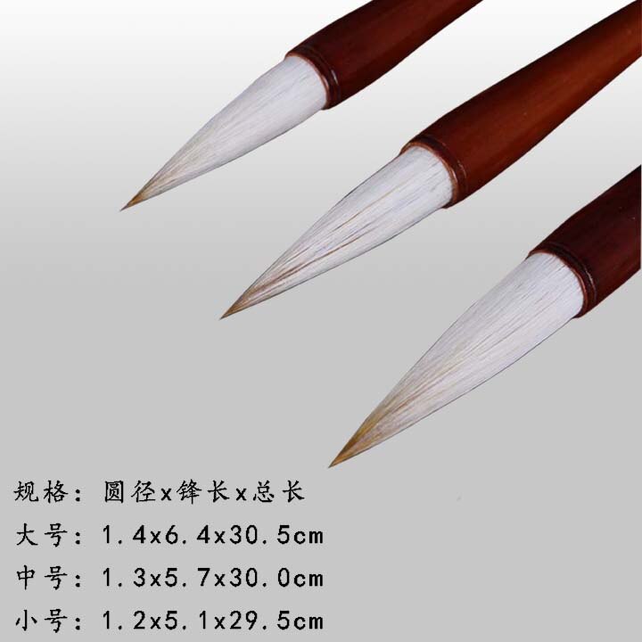 Special Offer for beginners training class