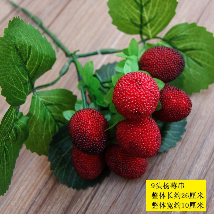 Simulated Fruit String Foam Longan, Longan, Lychee, Blueberry, Cheli, False Fruit Props Shooting Props: 8