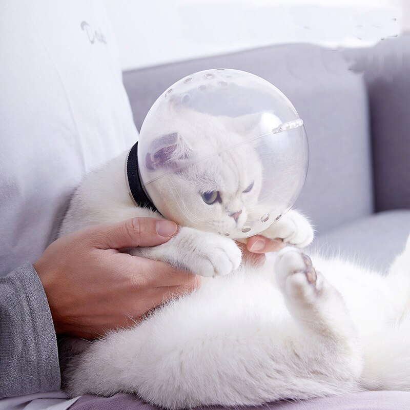 Masque de toilettage Anti-morsure pour chat, respirant, protection contre le léchage, accessoire de bain