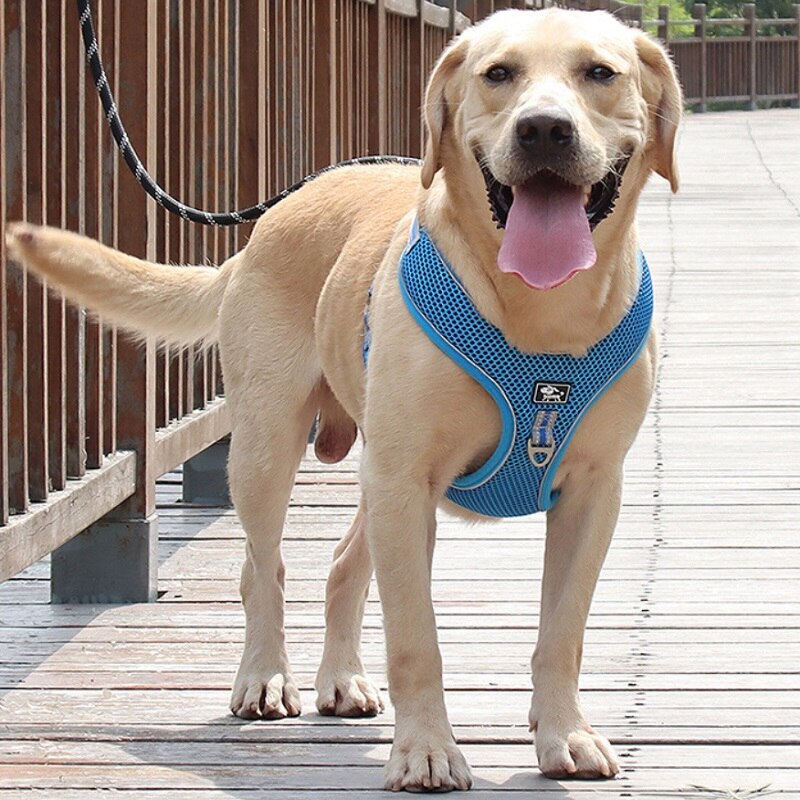 Large Dog Harness Vest big Dog Harnesses Breathable Mesh pet Walking lead Reflective dog chest strap for Labrador Husky Dogs