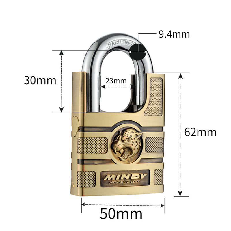 Verrou de porte avec clé, serrure de porte solide de Style classique, serrure d'extérieur d'armoire de grande taille de Style classique, antivol, entrepôt: Argent