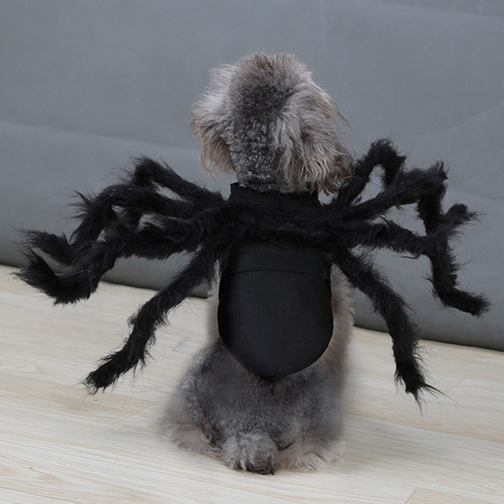 Neue Halloween Haustier Spinne Kleidung Simulation Schwarz Spinne Welpen Cosplay Kostüm Für Hunde Katzen Party Cosplay Lustige Katze Outfit