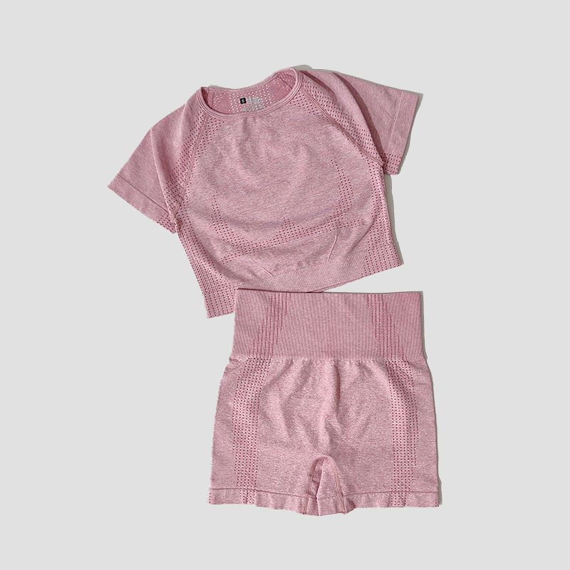 Conjunto de Yoga sin costuras para mujer, Top corto, camisa de manga corta, pantalones cortos de Fitness, ropa de entrenamiento para mujer, ropa de gimnasio, conjunto deportivo de Yoga: S / Rosa