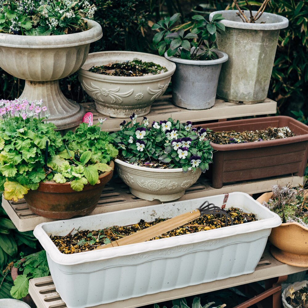 1pc Leaf Collection Rake Practical Carbon Steel Rake Garden Cleaning Tool(Black)