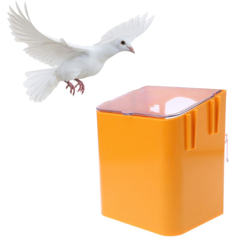 Pigeon Feeder Water Feeding Plastic Food Dispenser Pet Birds Parrot Container Supplies Dustptoof Bird Feeder
