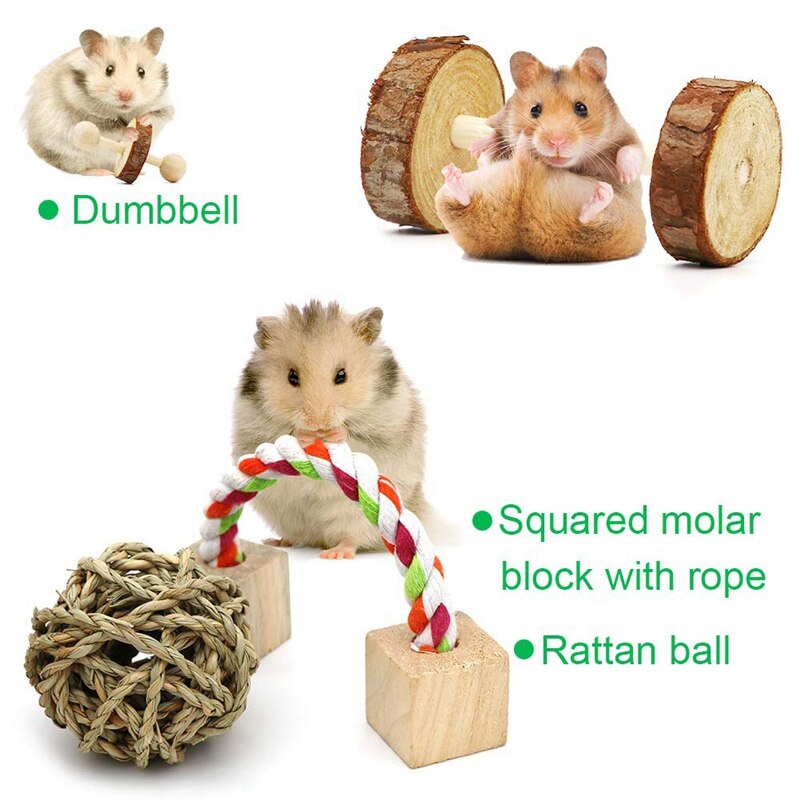 Hamster Chew Toys, 10 Pack Natural Wooden Pine Gui... Grandado