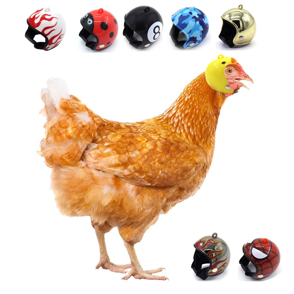Huhn Helm Kappe Haustier Spielzeug Vogel Hühner Kleine Haustier Liefert Schutz Getriebe Sonne Regen Schutz Helm Kostümich Zubehör