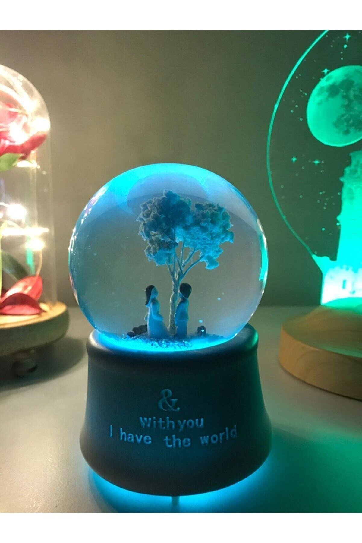 Globe de neige chat mignon, boîte à musique, produits , boules de neige , décoration de maison, Globes éclairés décoratifs
