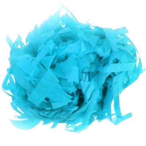 Turquoise Papier Raffia-100g