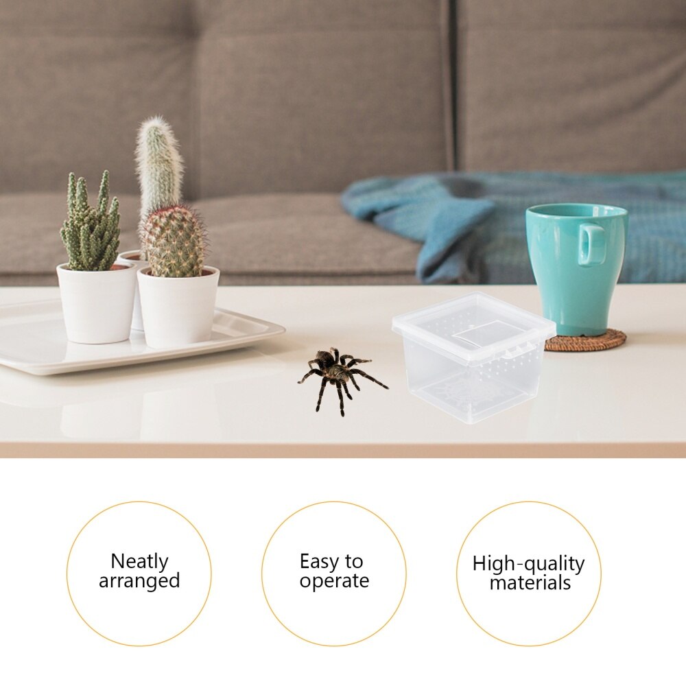 10 pièces pratique Reptile élevage boîte insecte alimentation boîte Portable Creeper maison