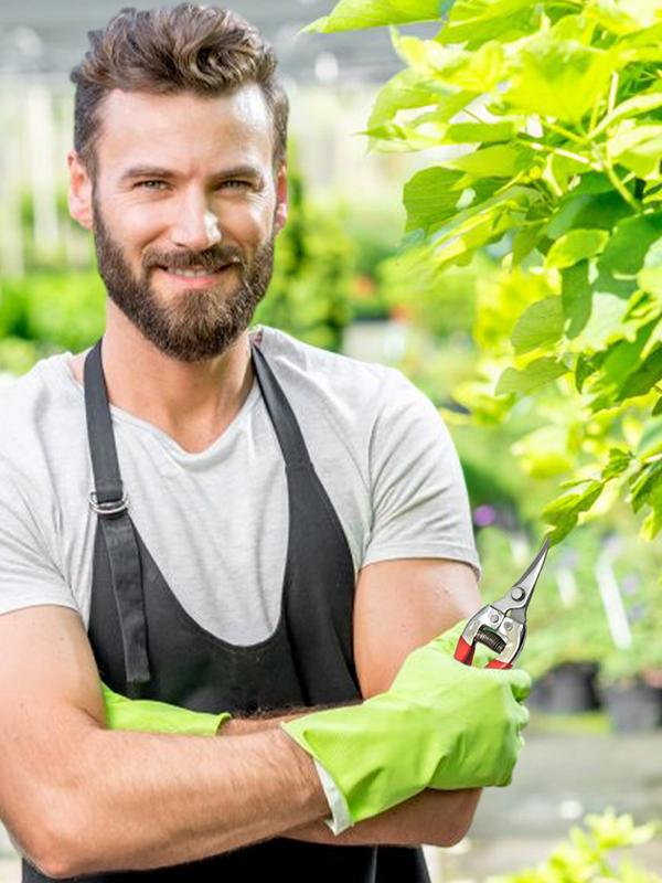 Tuinieren Hand Snoeischaar Tuin Schaar Hand Snoeischaar Snoeischaar Blad Trimmer Rechte Bloemist Schaar Tuinieren Handgereedschap