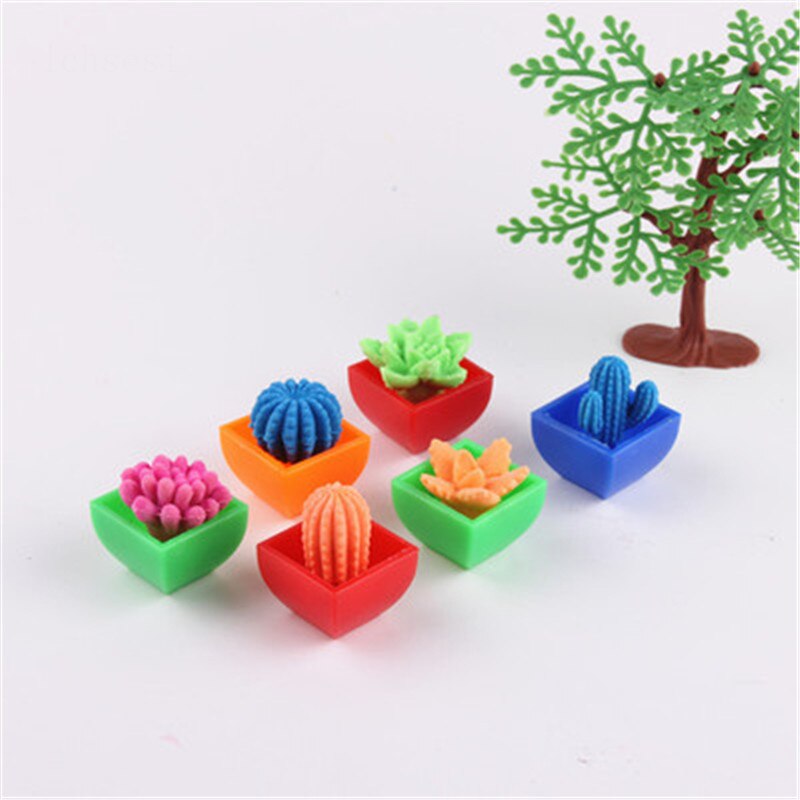 Vokser i vand blomst kaktus bonsai ekspansionsanlæg legetøj magisk legetøj til børn kaktus kan vokse legetøj gyh