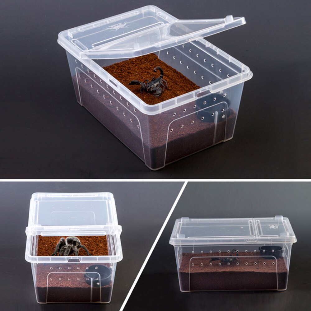 Reptile Feeding Box Transparent Animal Habitat Cage PP Pet Turtle Tank Terrarium For Spider Scorpion Gecko Insect Snake Tortoise