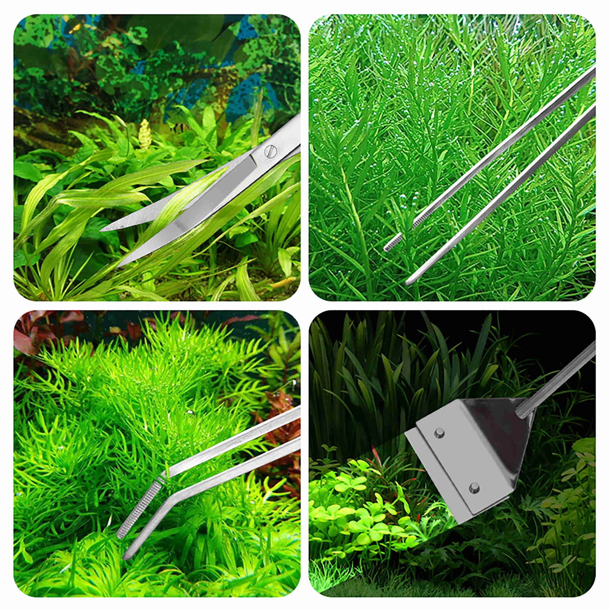 Water Grass Algae Kit Aquarium Tank Starter Cleaning Tools (Acrylic Storage Rack, Scissors, Tweezers, Gravel Spatula, Scraper)