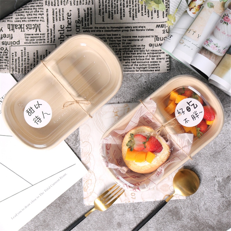 10 pçs dupla grade plugue de papel lancheira piquenique festa favores bolo sobremesa caixas frutas salada luz caixa de embalagem de alimentos recipientes