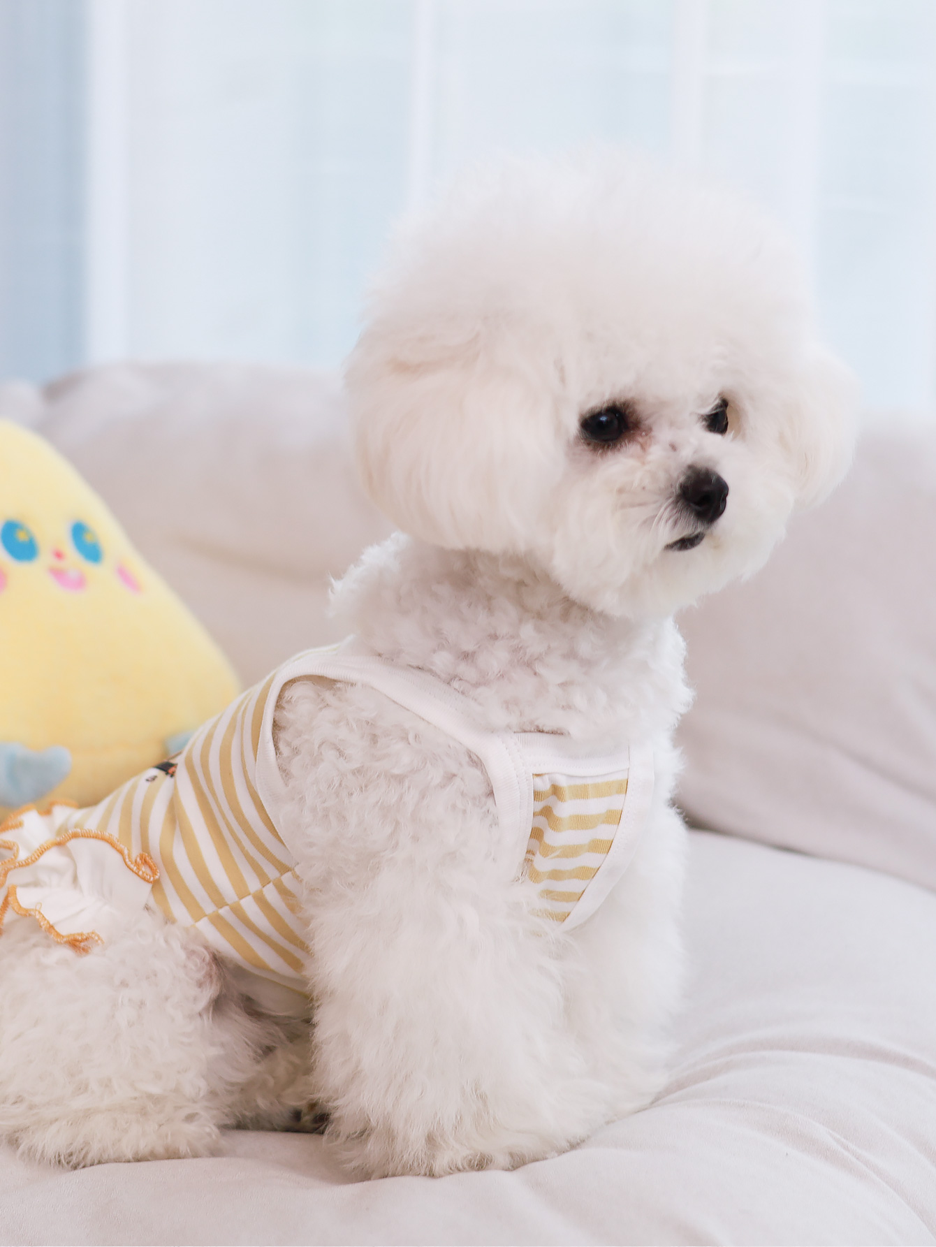 Dog vest, summer breathable thin material pet clothing, summer style Schnauzer, Yorkshire small and medium-sized dog vest Dress