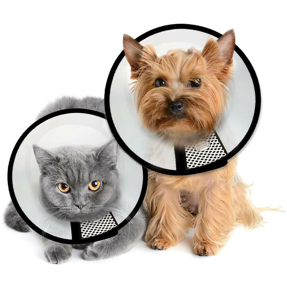 Kunststoff Haustier Kegel Hund Erholung E-Kragen Katze Kegel Weiche Kante Anti-Biss Lecken Wunde Heilung Einstellbare Halsbänder hals Kegel für Hunde Katze