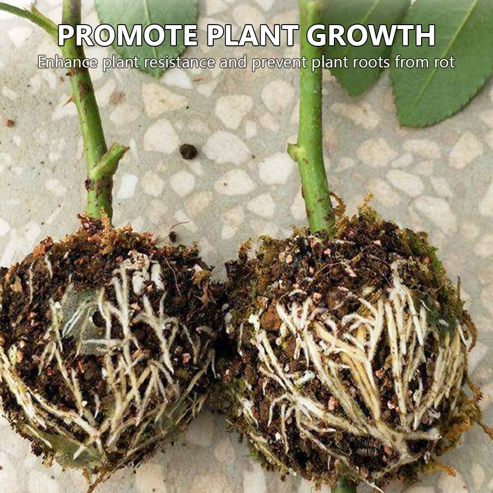 5Pcs Root Growing Box Breeding 5/8cm Case Plant Root Box Garden Pressure Propagator For Garden In Diameter Grafting Rooting