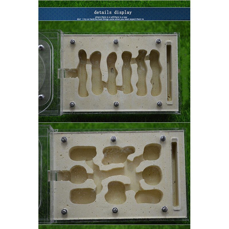 Diy With Feeding Area Ant Nest ,ant Farm Acryl, Insect Ant Nests Villa Pet Mania For House Ants