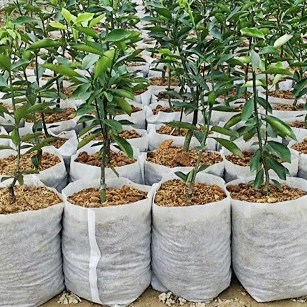100pcs Biodegradable Seed Nursery Bags Non Woven Nursery Flower Pots Vegetable Transplant Breeding Pots Garden Planting Bags