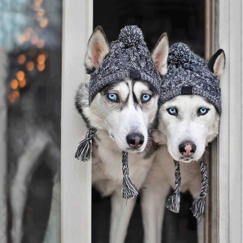 Berretto invernale per cani cappellino di capodanno cappelli divertenti cappelli natalizi cappello di lana per cuccioli con palla per cani di piccola taglia Bulldog francese prodotti per animali domestici