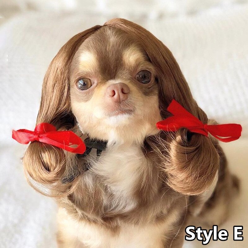 Perruque de déguisement d&#39;halloween pour chien, chapeau de Cosplay amusant, accessoire pour chien, bouledogue français, Chihuahua, d&#39;anniversaire