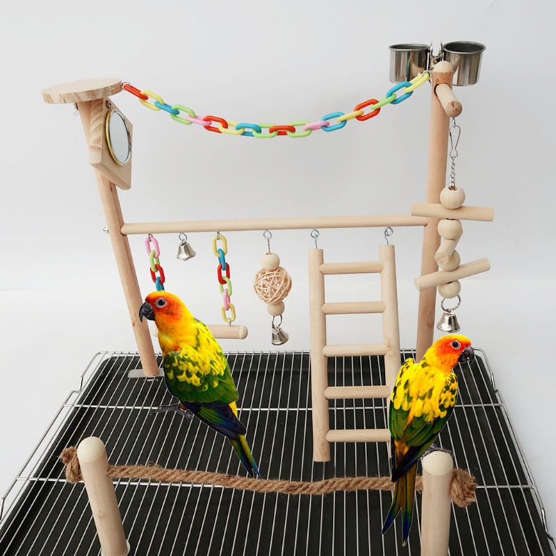 Perroquet oiseau miroir support de jeu calopsitte aire de jeux bois perche salle de sport échelle mangeoire tasses balançoire escalade exercice jouets bain d'oiseau