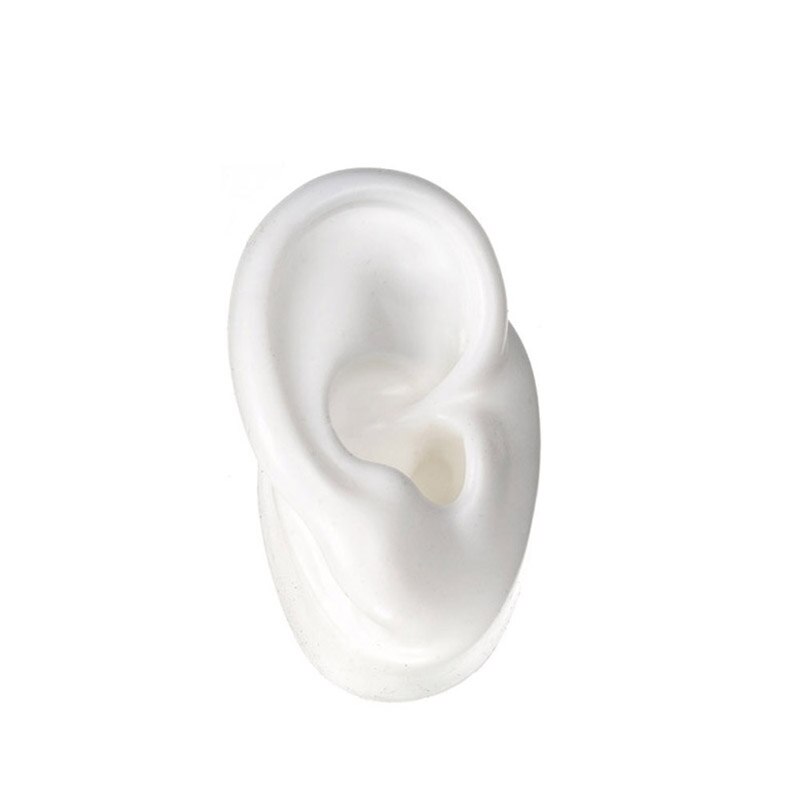 Silicone Ear Model Human Artificial Ear Display for Hearing Aids IEM Earphones Display and Lecturing: White Right side