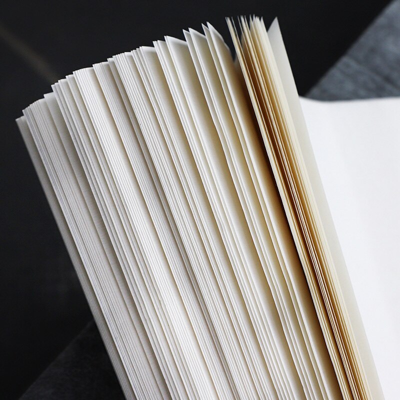 Papel Xuan de Mica perlada, papel grueso de sándalo, papel de arroz adulto, pinturas antiguas de cuatro pies y papel de caligrafía, 10 hojas