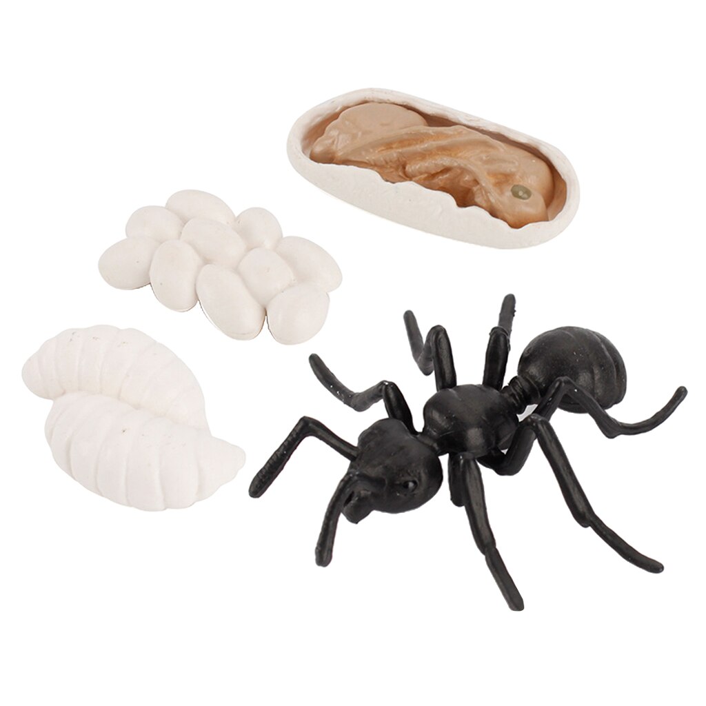 Animal Model Insect Animal Growth Cycle Realistic Insects Figurines