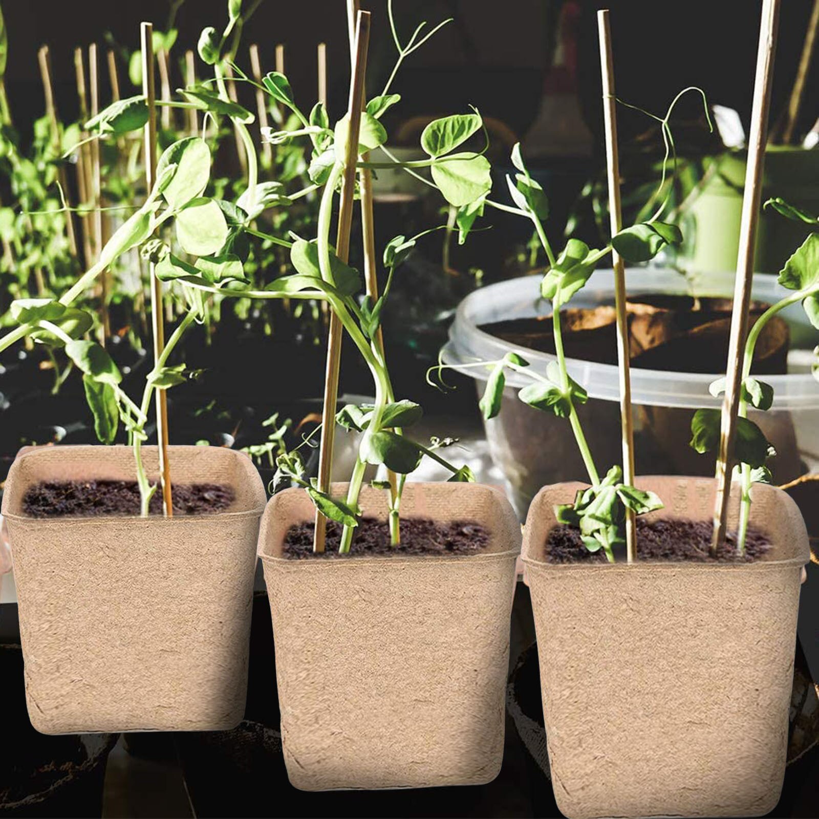 40pcs 8cm Paper grow Pot Plant Starters Herb vegs flower planter Nursery Cup Kit Biodegradable Home gardening tools cultivation