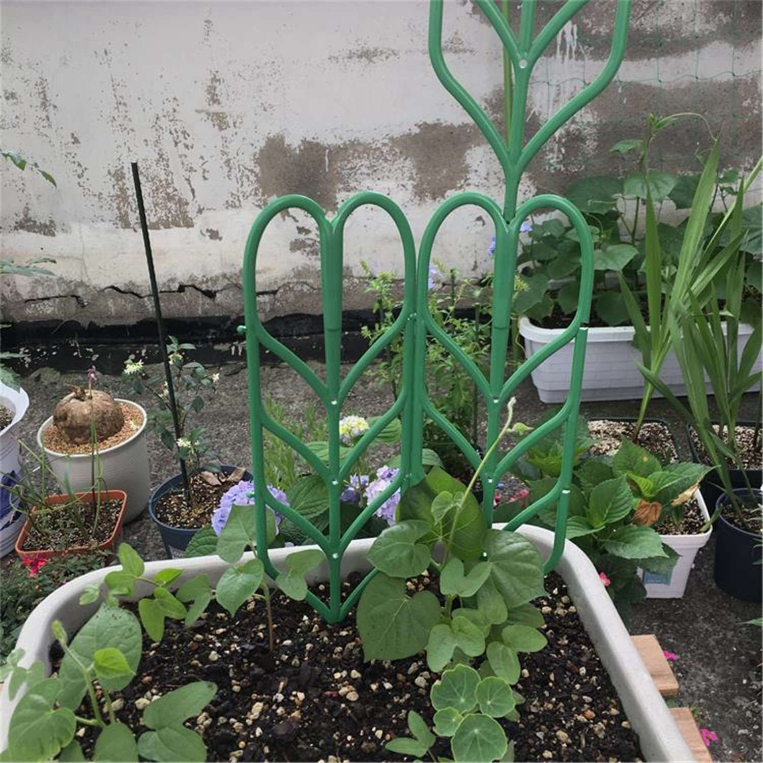 Enrejados de jardín Diy para plantas trepadoras, enredaderas en maceta, verduras, flores, paneles de rejilla de alambre para Patio, hiedra de 14 pulgadas X4