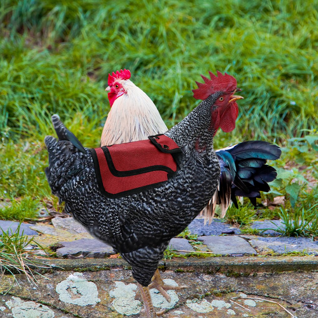 Pack von 2 Huhn Sattel Universal- Oxford Tuch Hühner Schutzhülle Schürzen Zurück FlüGel Feder Wachstum Schutz Zubehör