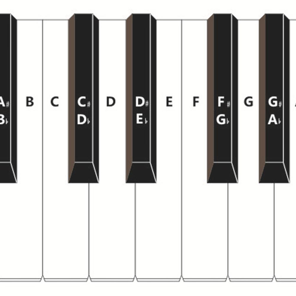 Piano Keyboard Note Chart for 88 Keys Piano Practice Keyboard Note Chart Piano Learning Aid for Behind the Piano Keys