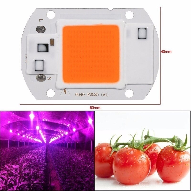 20W/30W/50W Led Plant Grow Cob Chip Light Greenhouse Tuin Hydrocultuur Volledige Spectrum Groeiende lamp Voor Planten Veg En Bloem