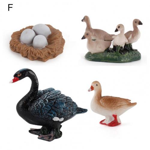Kip Eend Gans Zwaan Groei Cyclus Simulatie Gevogelte Speelgoed Thuis Bureau Ornament Home Desk Ornament Simulatie Gevogelte Speelgoed: F