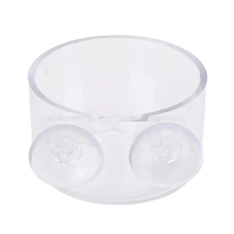 Red Worm Fish Feeder Easy To Clean Aquarium Cone Red Worm Feeder with Sucker for Fish for Shrimp