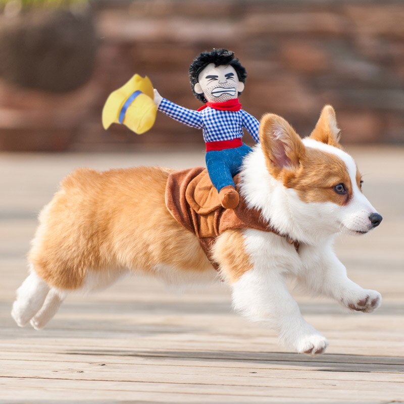 Costume de cavalier de Cowboy pour chien, vêtements de fête d&#39;halloween pour animaux de compagnie, tenue de nouvel an, Chihuahua, nouveauté