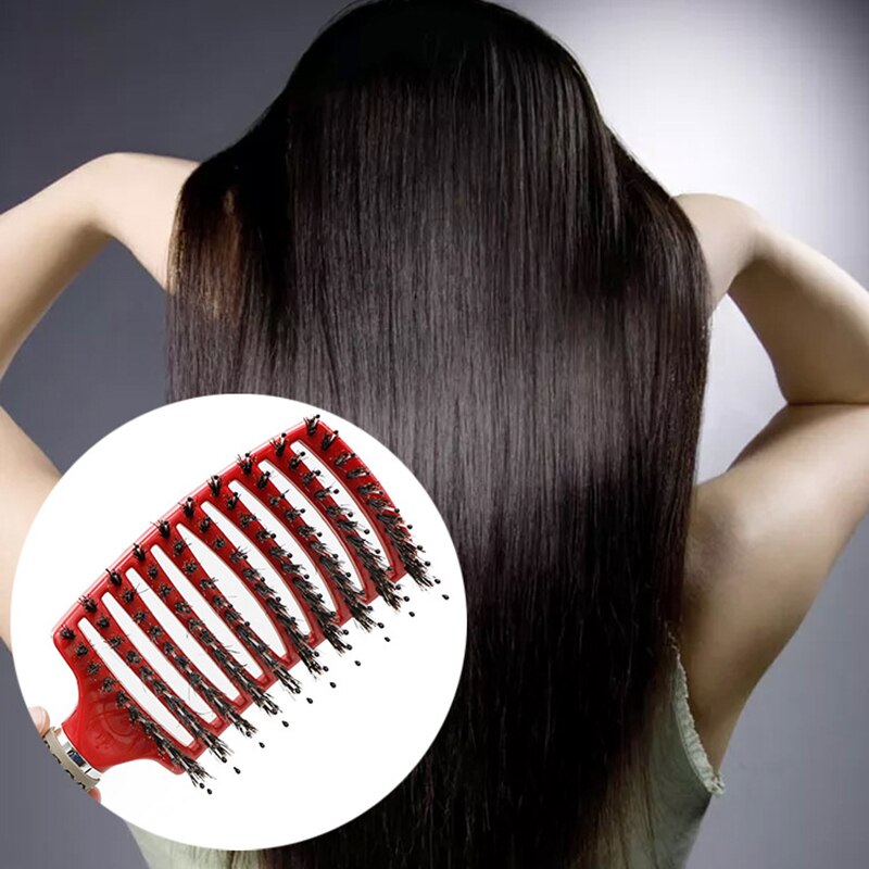 Børstet hårbørste kvinder våd kam hårbørste værktøjer kam frisør frisørbørste til hårmassage hårbørste