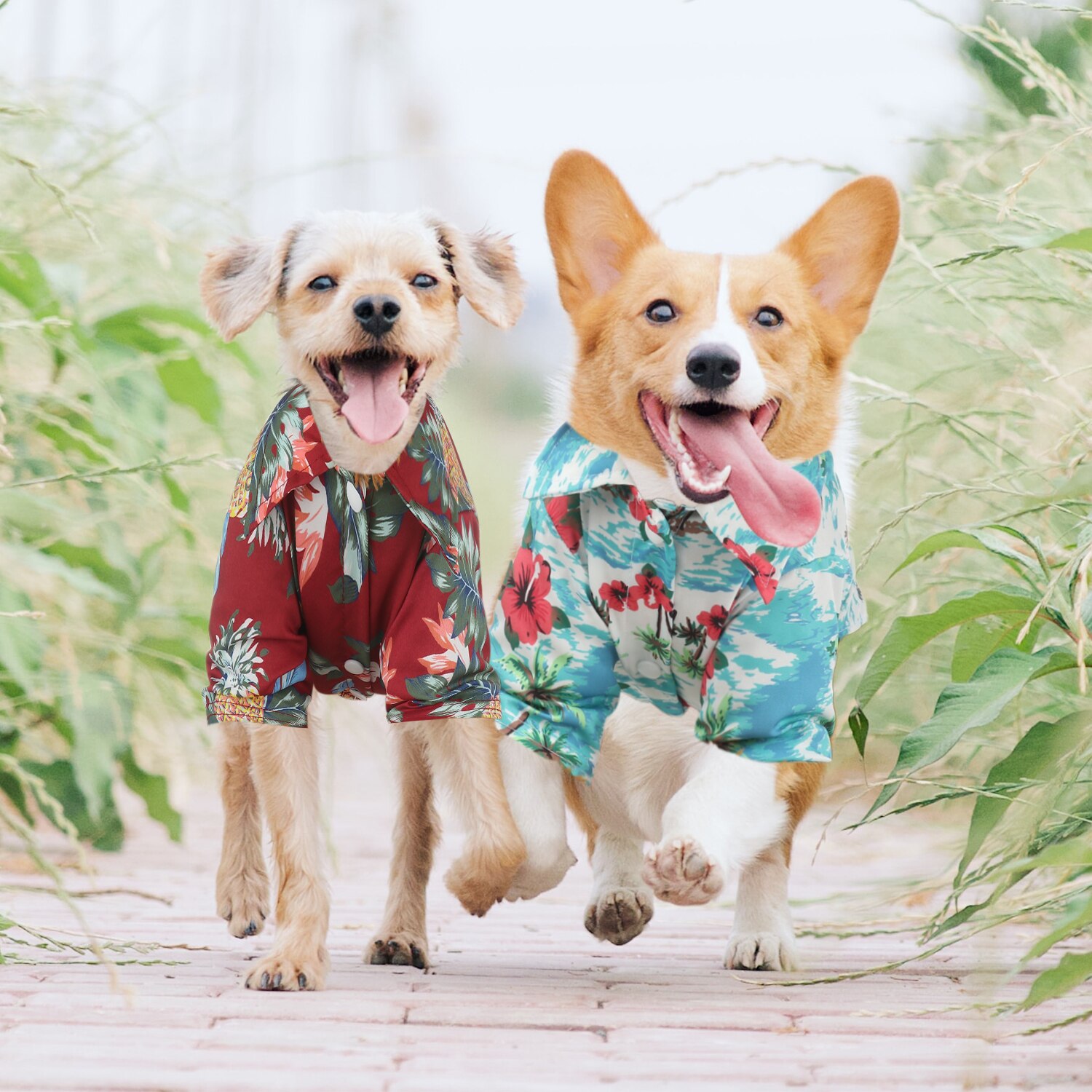 4 unids/set Ropa Estilo Hawaiano perro camisetas de Polo Hawaiano ropa para mascotas ropa de playa estampado de palmeras camisa de verano para mascotas