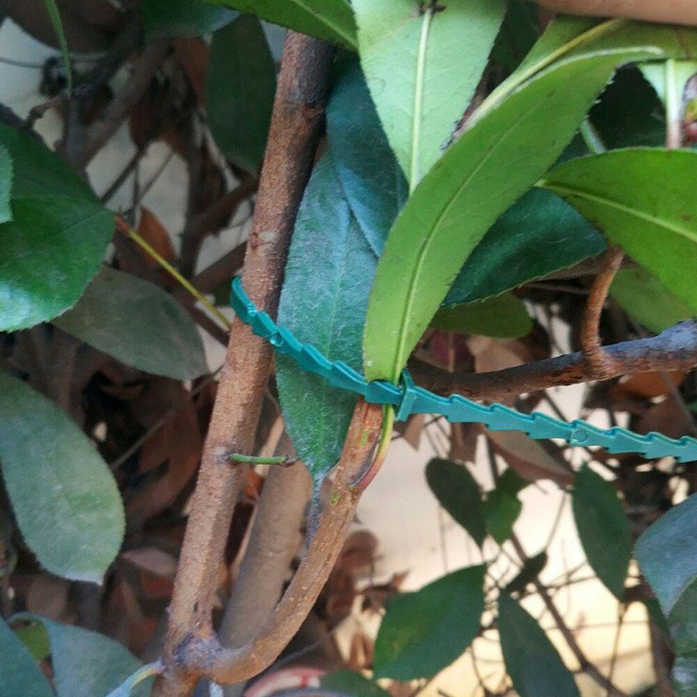 50Pcs 13/17cm Adjustable Reusable Garden Cable Ties Plant Support Shrubs Tree Locking Nylon Plastic Ties