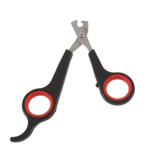 clipper Rabbit grooming Pet claw toe tool trimmer nail scissor animal paw parrot gerbid bird cutter dog shear toenail cat: Default Title