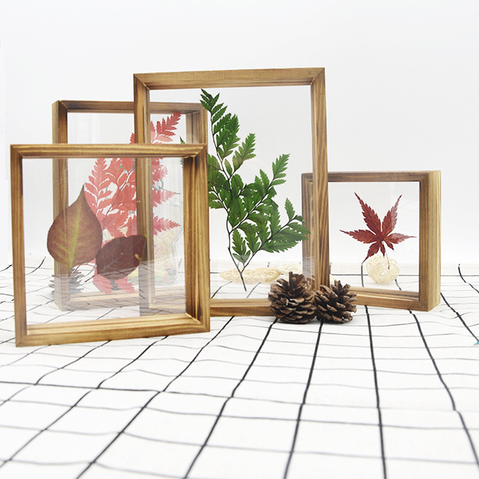 Wooden Photo Frame Double Sided Acrylic Specimen Frame Set-up for Home Business Place