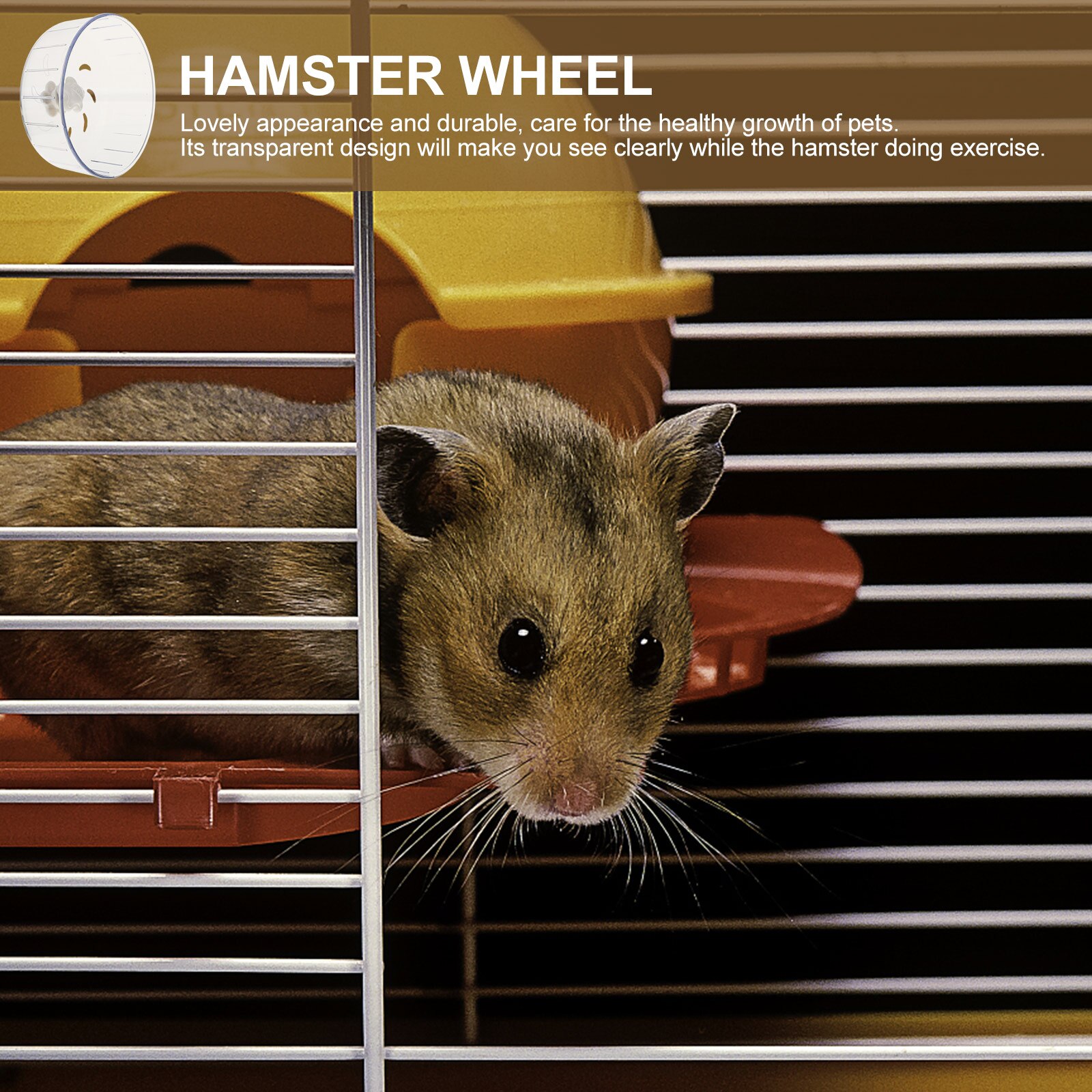 Wheel Silent Hedgehog Wheel Hamster Wheel Hamster Accessory Chinchilla Wheel for Chinchilla Hedgehog Hamster